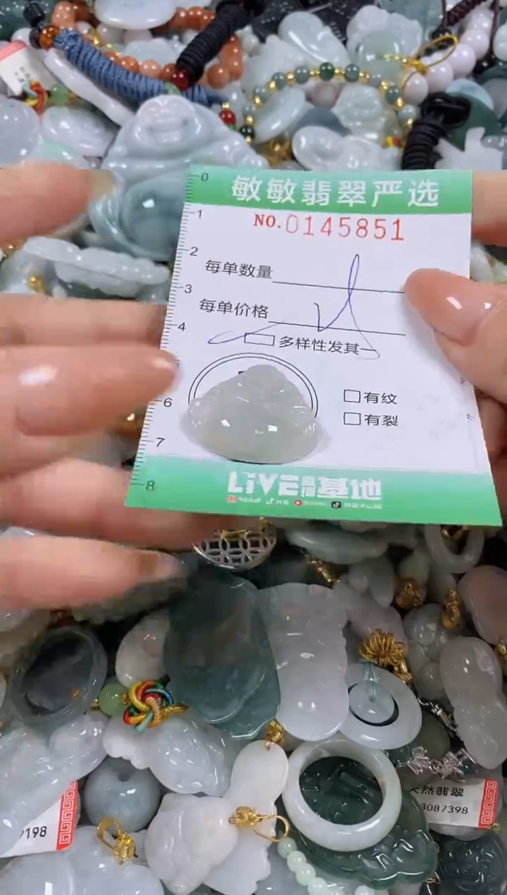 【闪购商品】翡翠未镶嵌颈饰闪购0145851多样性发其一