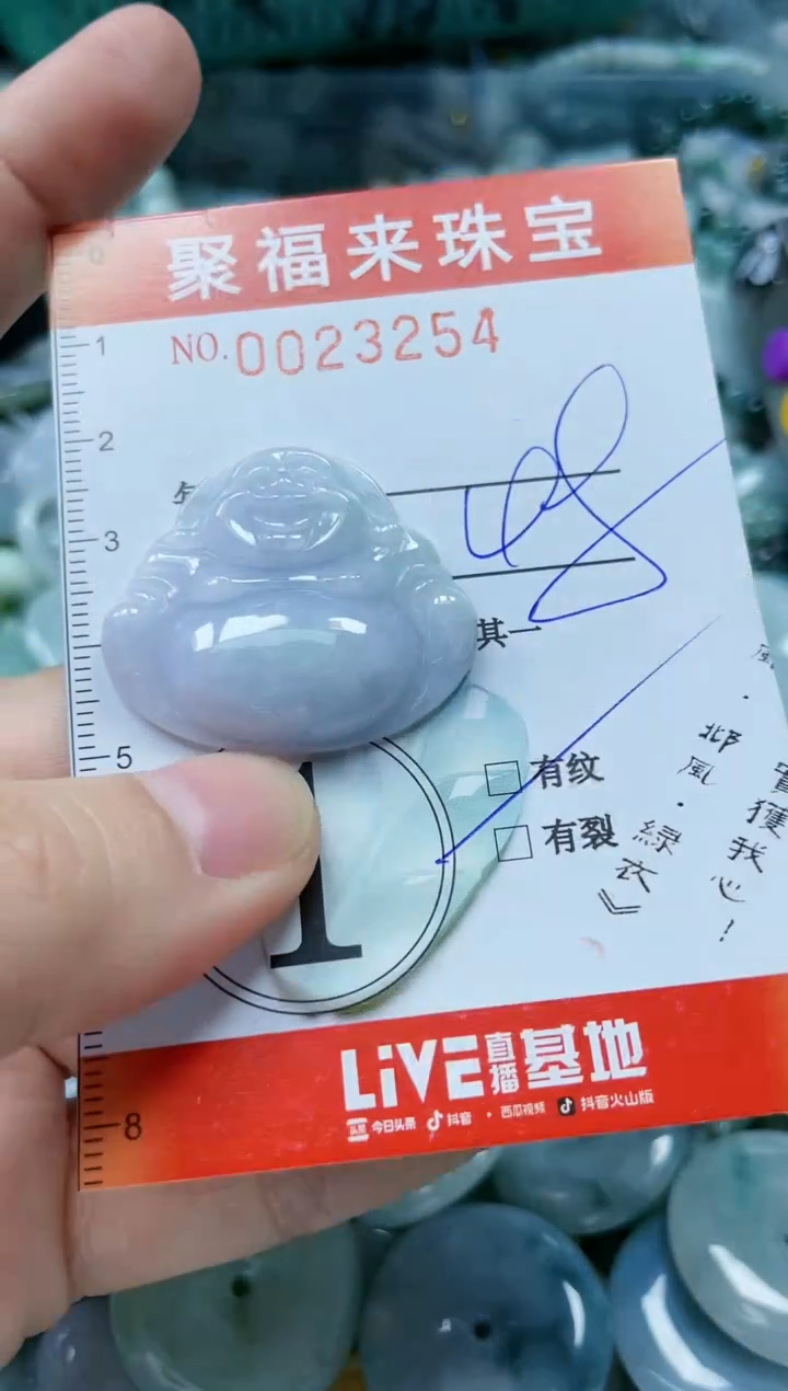 【闪购商品】翡翠颈饰未镶嵌闪购0023254