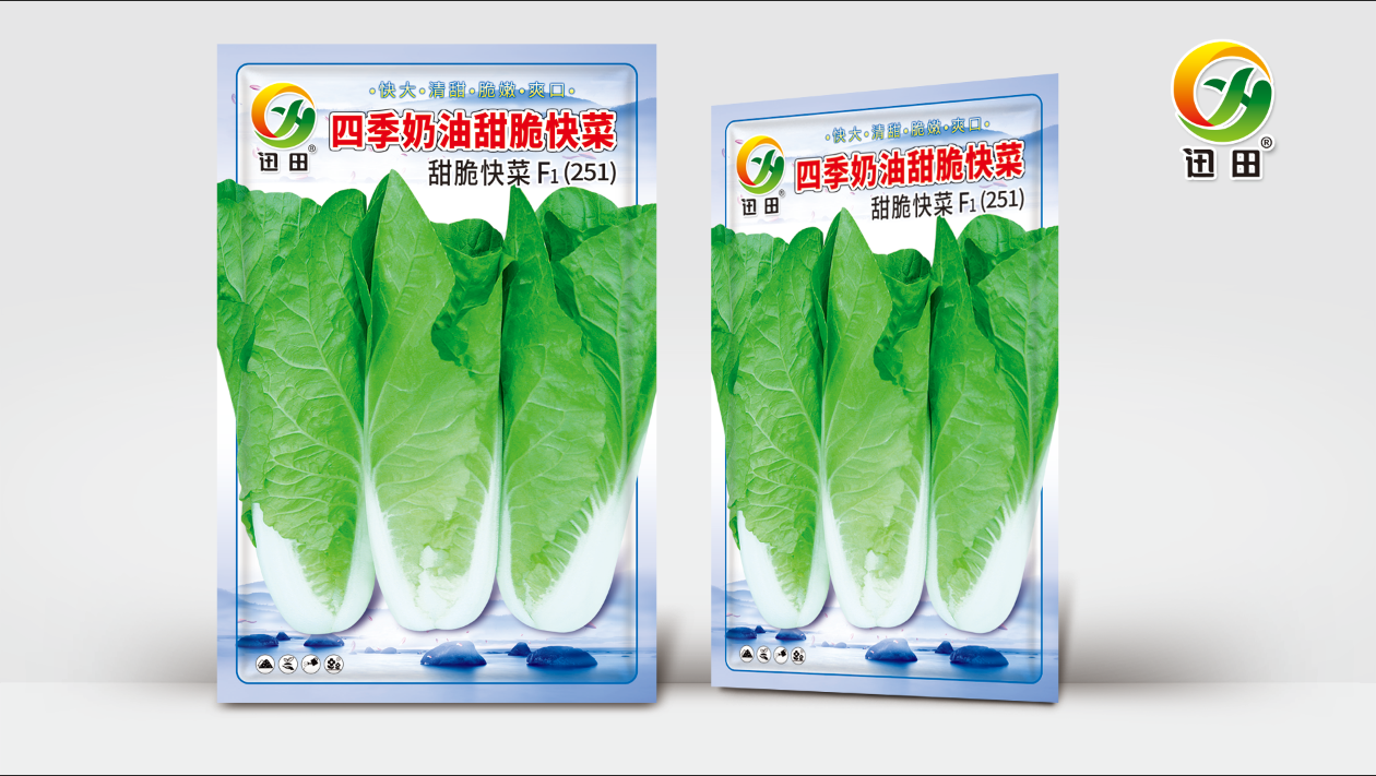 四季奶油甜脆快菜优质四季奶油快菜种子易播高产适合阳台小院种植