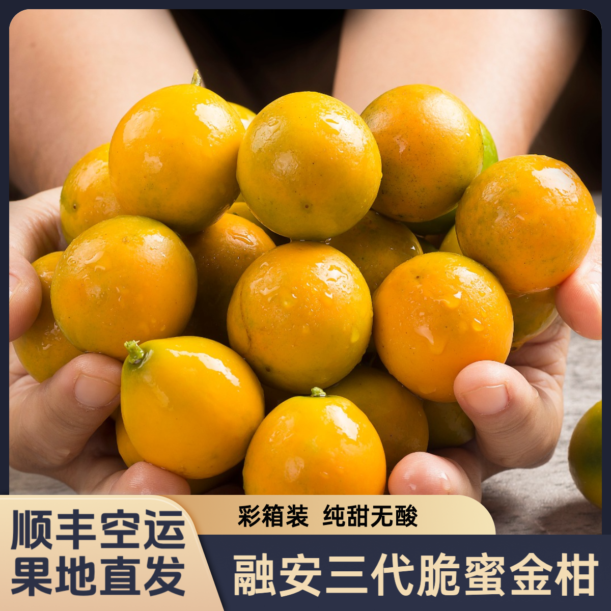 【送礼】顺丰快递 融安三代脆蜜金柑 现摘水果2斤 融安脆蜜金桔 