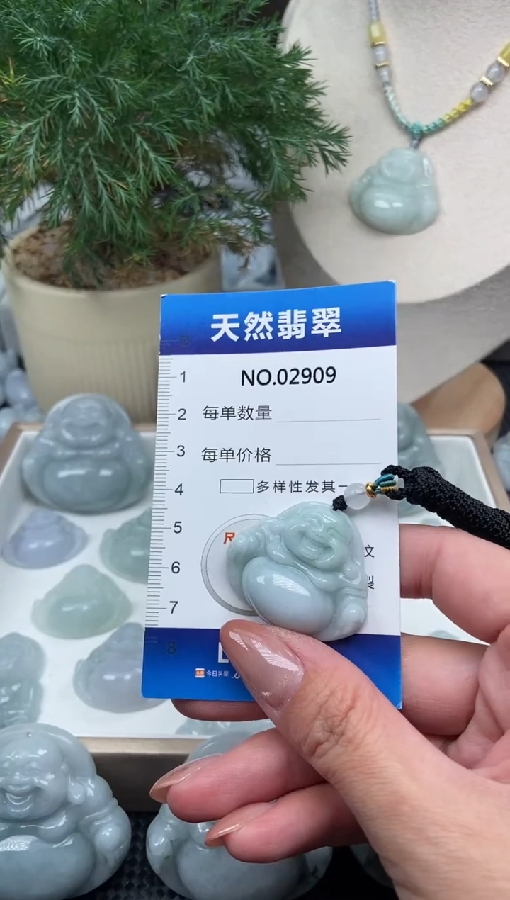 颈饰未镶嵌翡翠纯天然A货翡翠2909