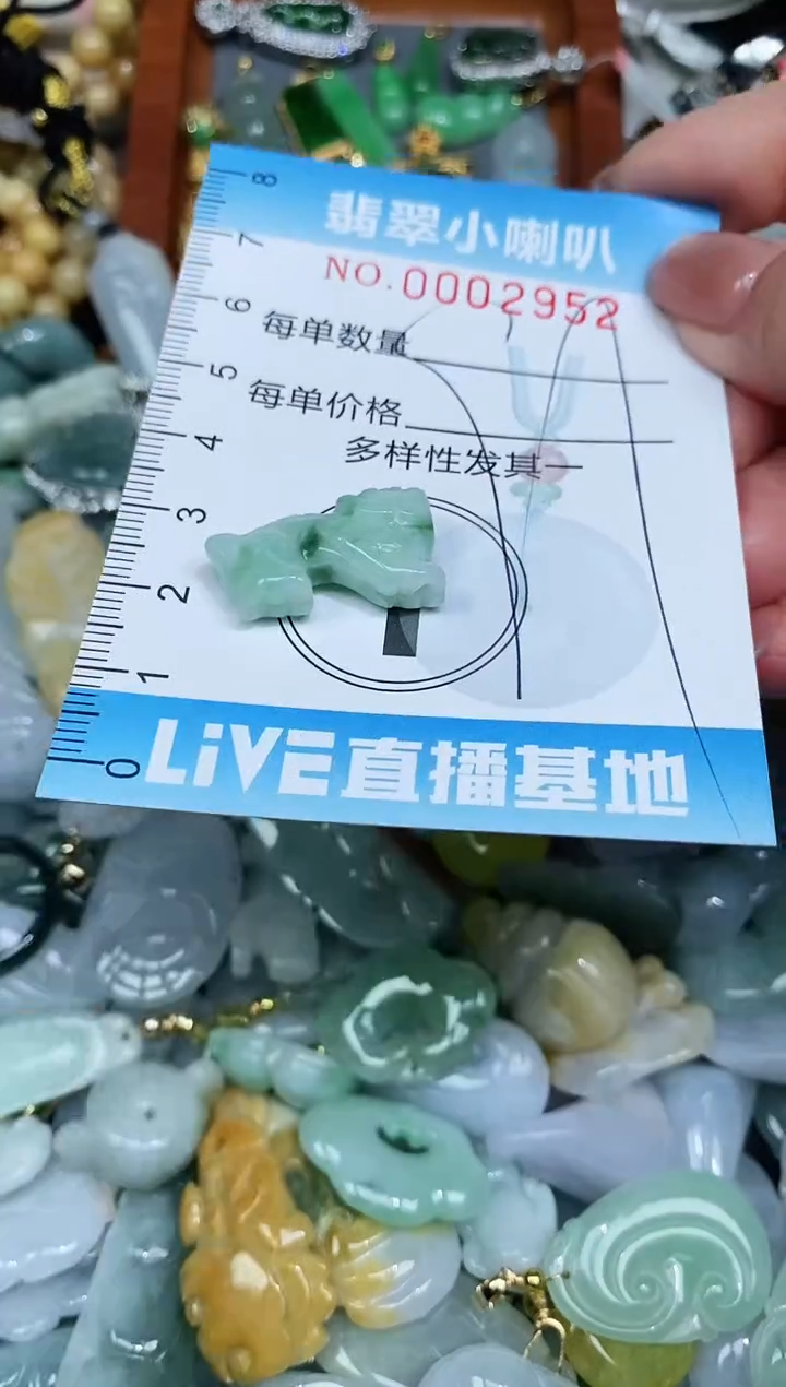 【闪购商品】翡翠颈饰未镶嵌闪购0002952多样性发其一