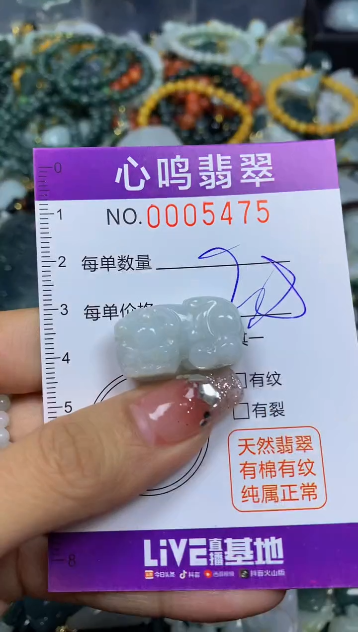 【闪购商品】翡翠颈饰未镶嵌闪购005475