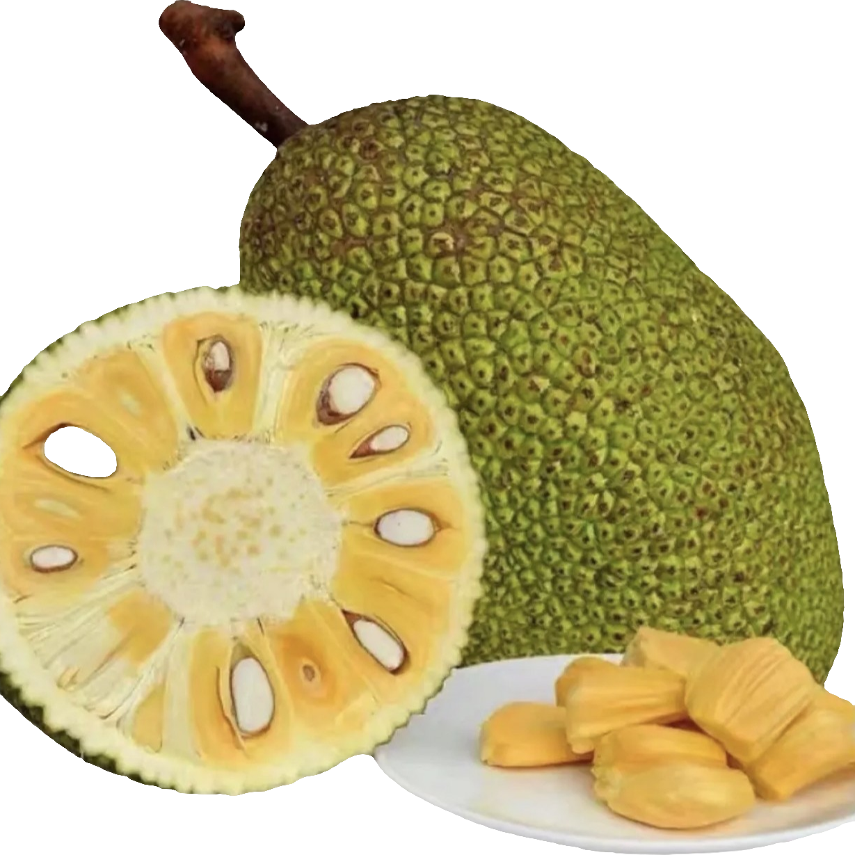 A+级越南进口黄肉菠萝蜜 香甜可口 整果发货 顺丰包邮 黄肉菠萝蜜越南社会主义共和国