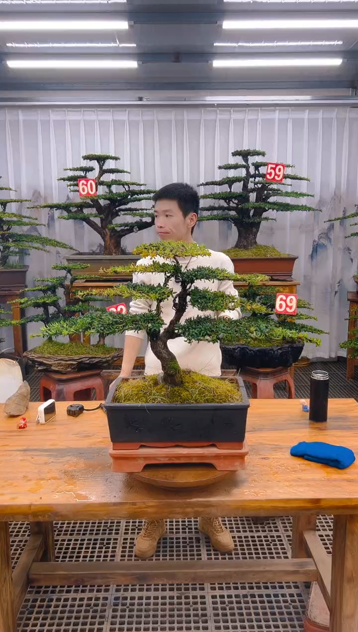 【闪购商品】紫砂精品盆景直播间一物一拍