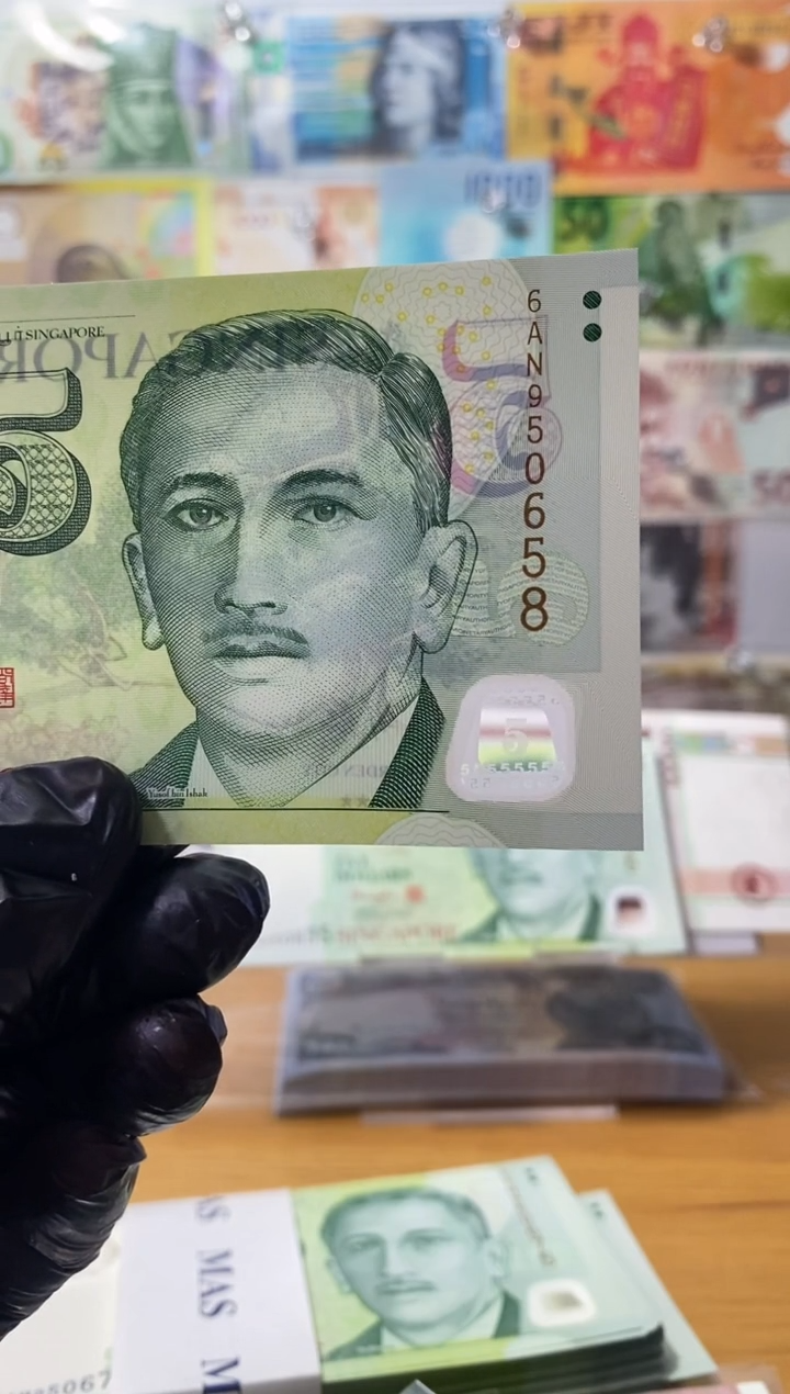 普通金属币行**疆658-新加坡5