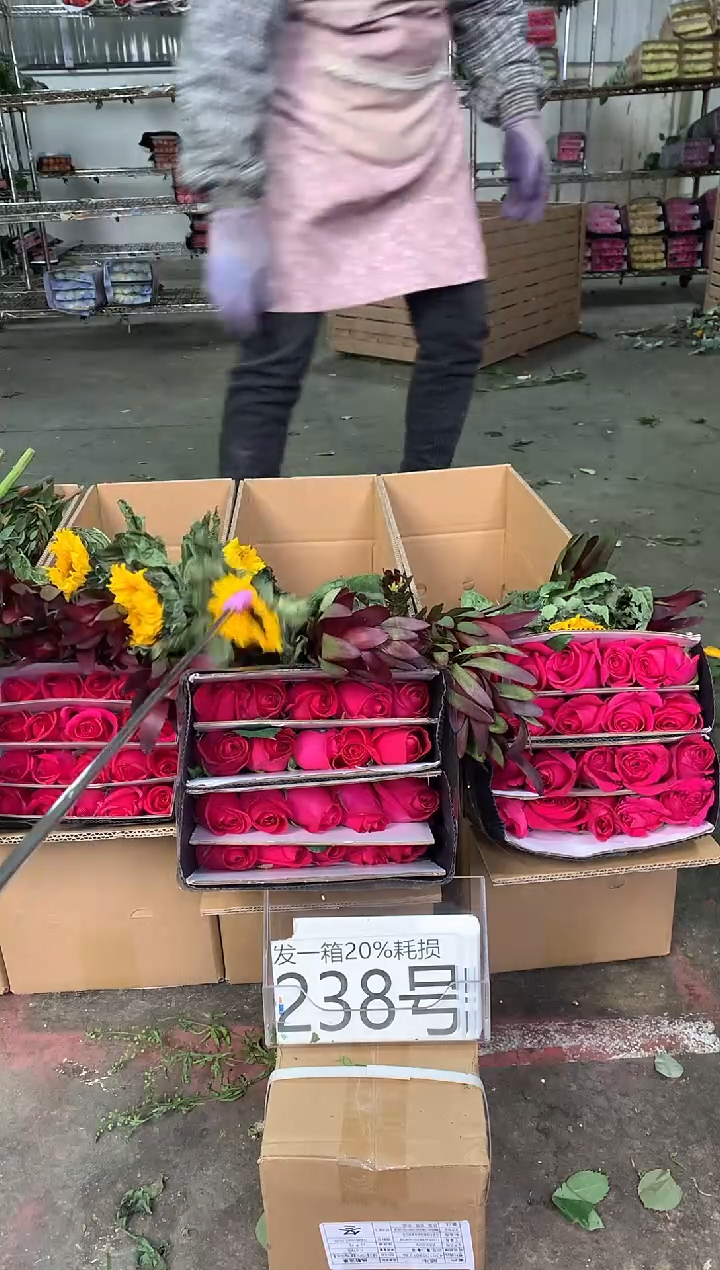238号♥中通含20%耗损发一箱