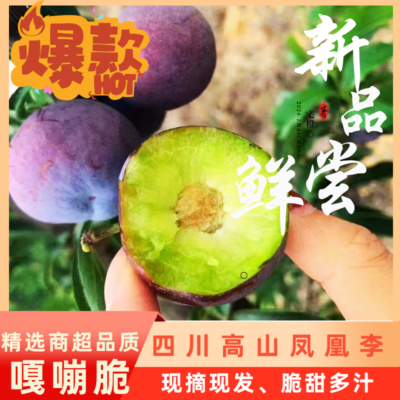 P【青灰】四川高山凤凰李五脆新鲜应季水果脆甜多汁净重4.5斤包邮