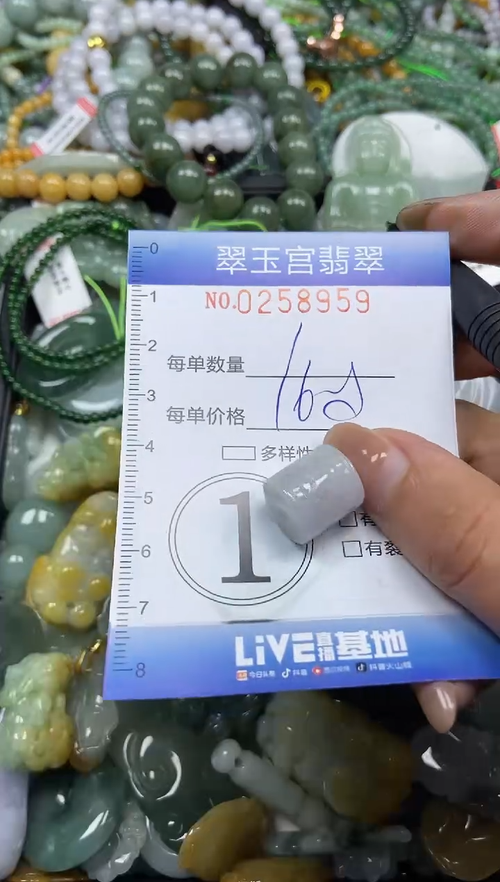 颈饰未镶嵌翡翠闪购C0258959