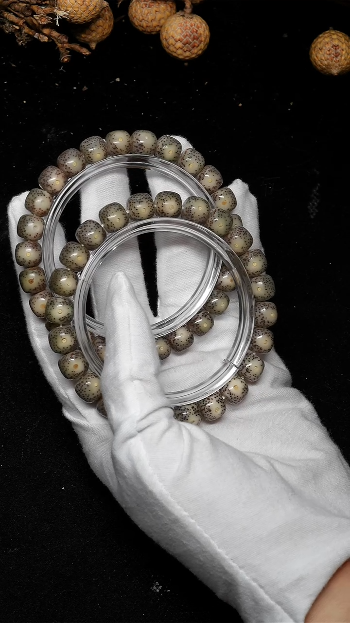 手串星月菩提黄金瞳大眼睛-B009