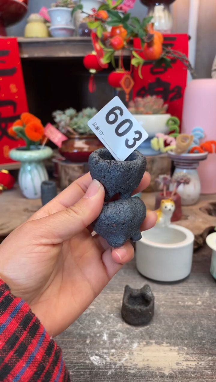 【闪购商品】摆件603知木小芳花盆