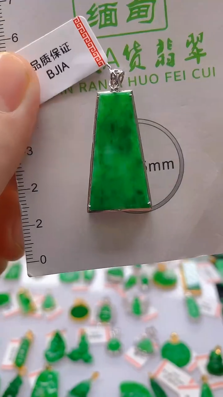 【闪购商品】翡翠颈饰18K金镶嵌新号开播，全场乱卖