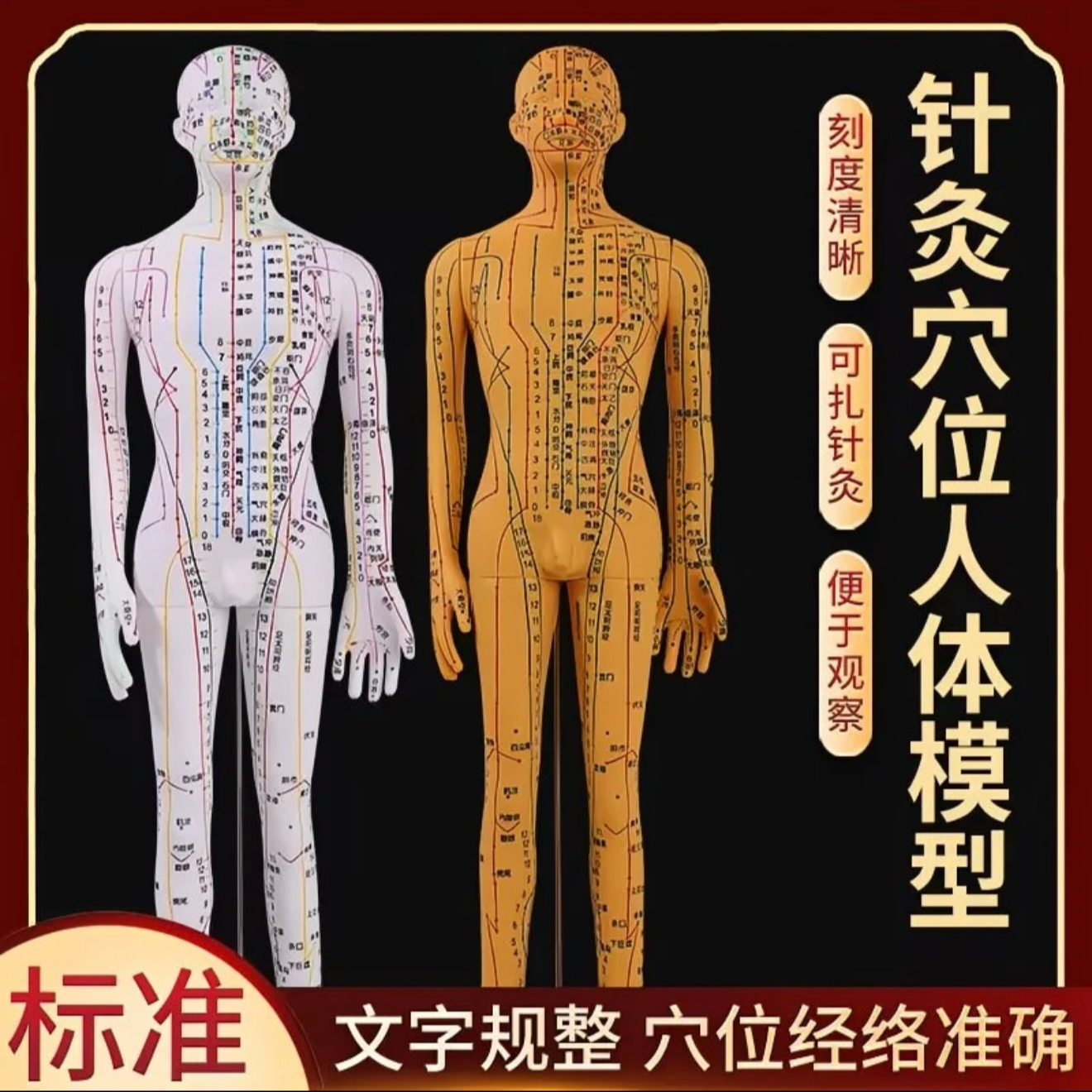 专业针灸穴位人物模型教学专用教学针灸穴位模型