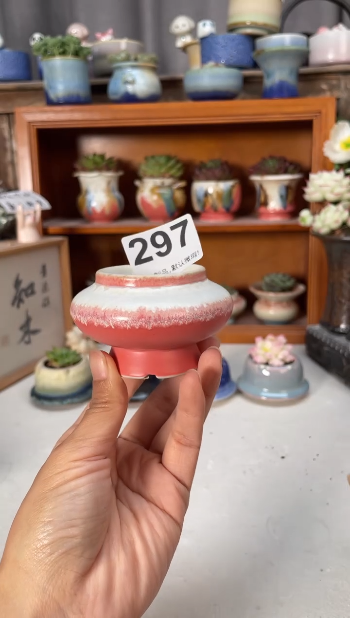 瓷片297小芳直播编号