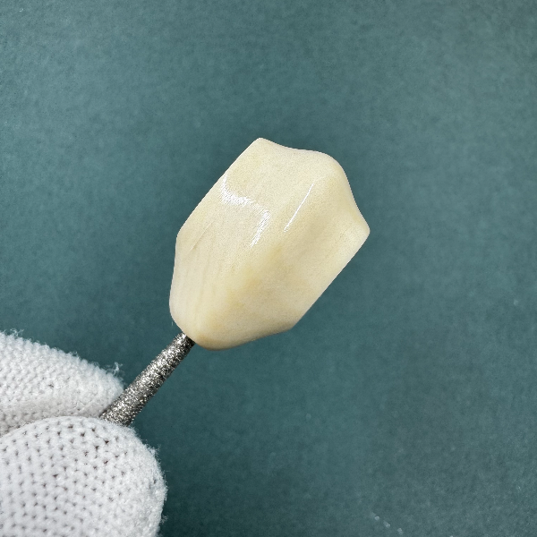 M1790天然猛犸牙玉龙6A鲨鱼背  支持鉴定假一罚四