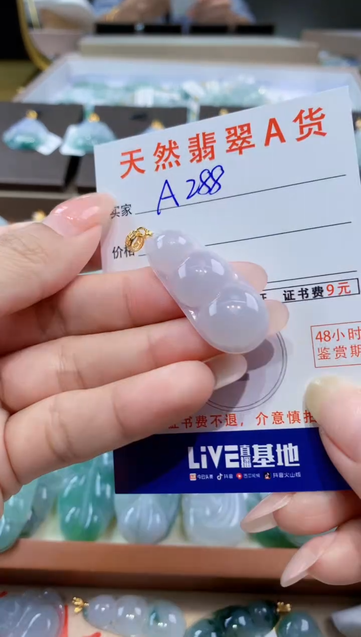 颈饰未镶嵌翡翠天然缅甸翡翠A货挂件 