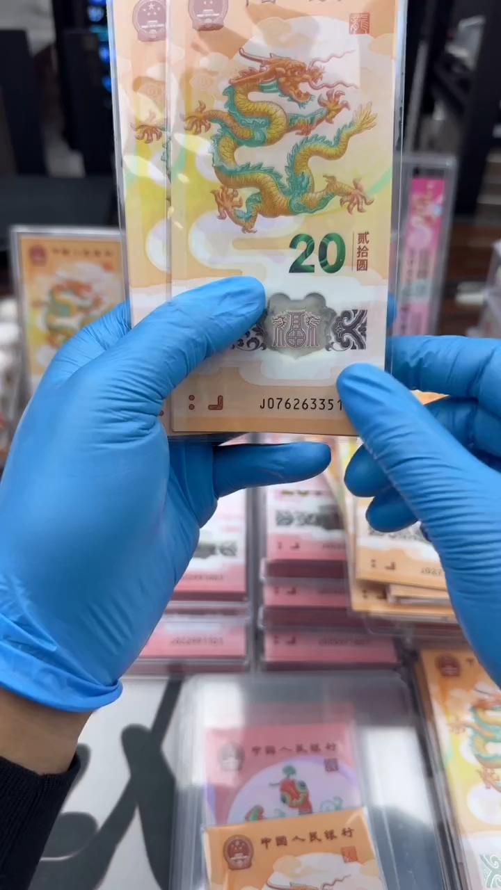 【闪购商品】塑料6枚龙币4枚蛇币拍拍拍拍拍拍