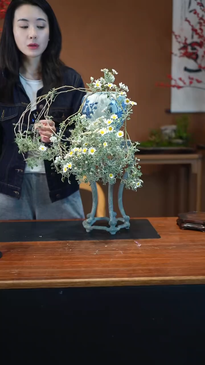 全部花朵雅菊盆景盆景盆景