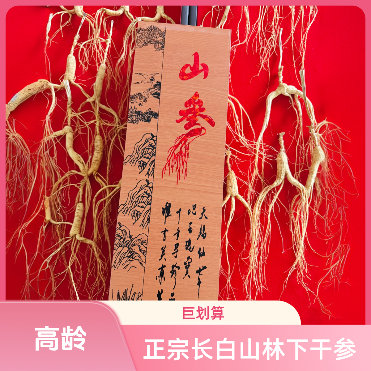 【正宗长白山】林下干参 12至15年老货（自然晾晒）