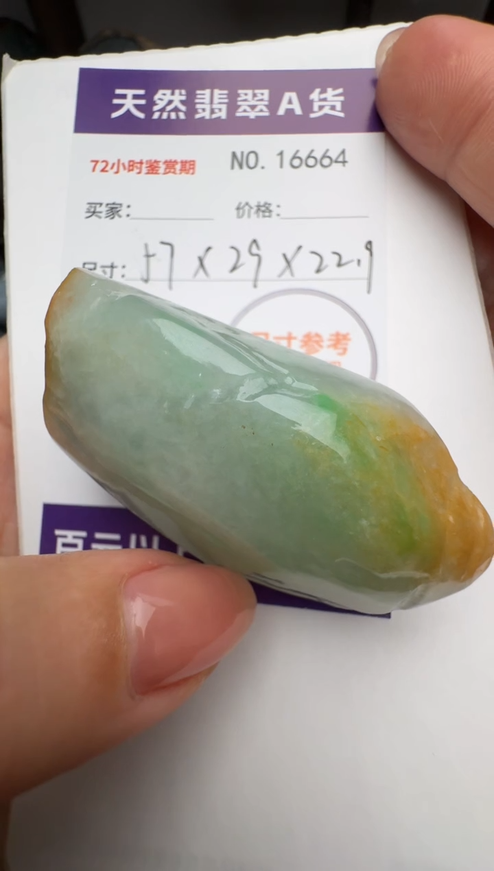 翡翠未镶嵌颈饰原石16664