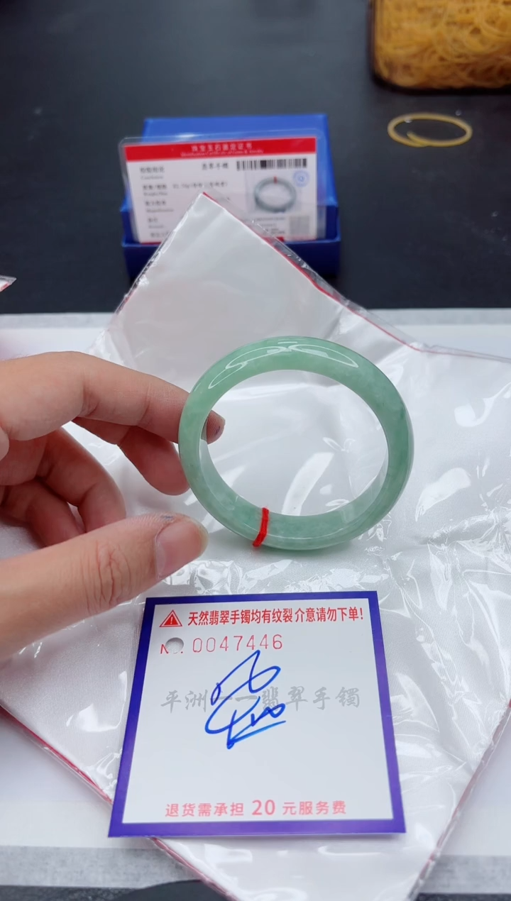 未镶嵌手镯翡翠1