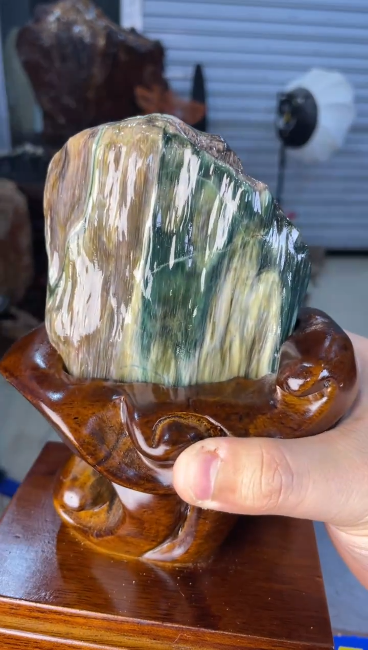 未镶嵌摆件硅化玉19