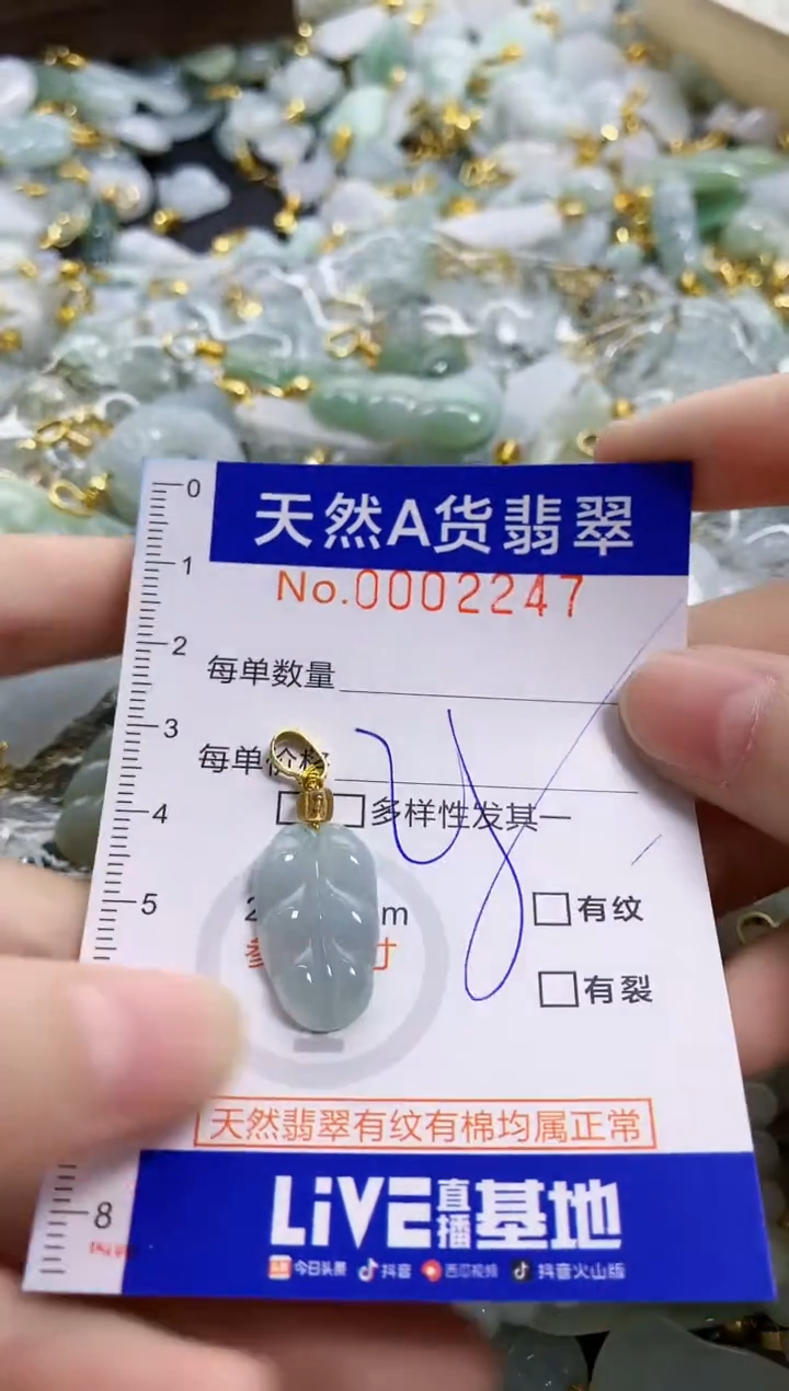 颈饰未镶嵌翡翠天然A货翡翠