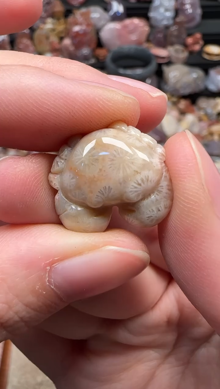 颈饰未镶嵌硅化珊瑚（珊瑚玉）042