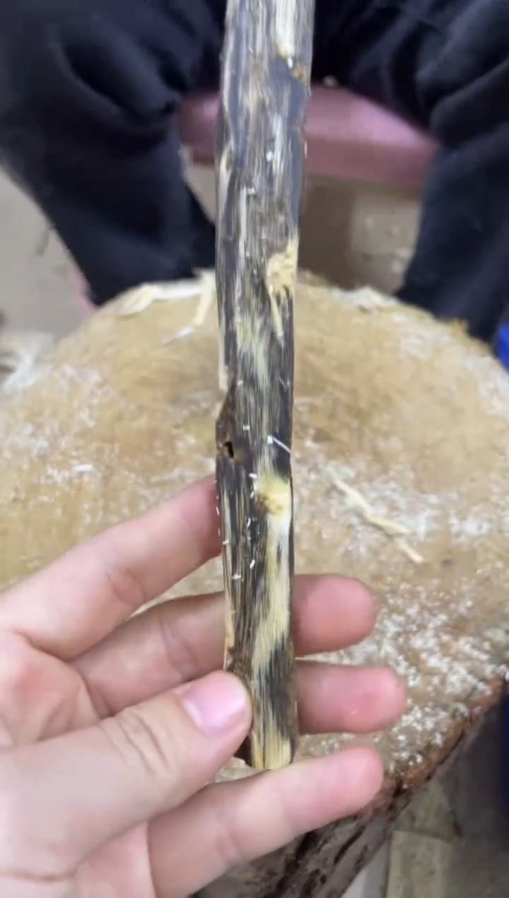 【闪购商品】沉香木沉香碎屑棋楠沉香 原料文创1