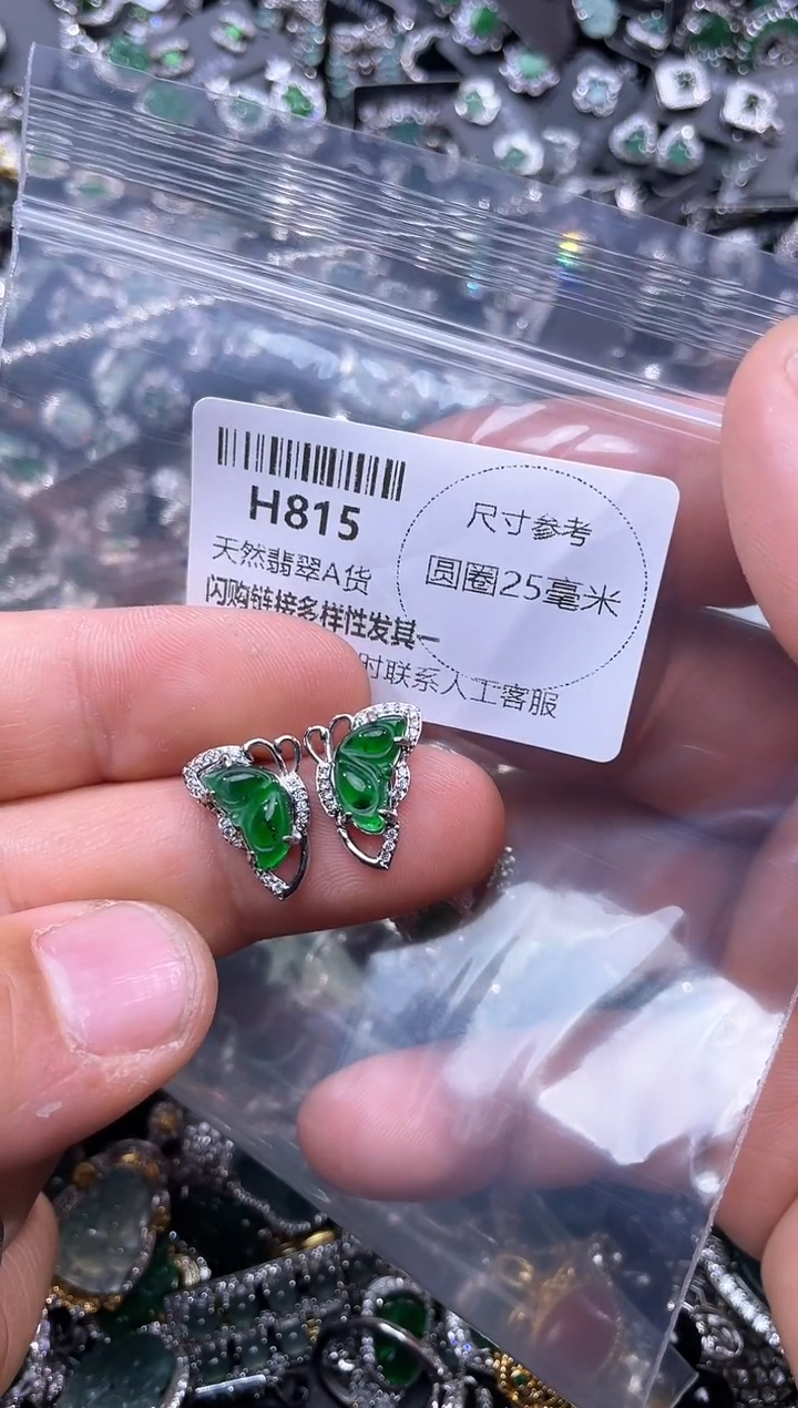 【闪购商品】翡翠颈饰未镶嵌H815耳钉