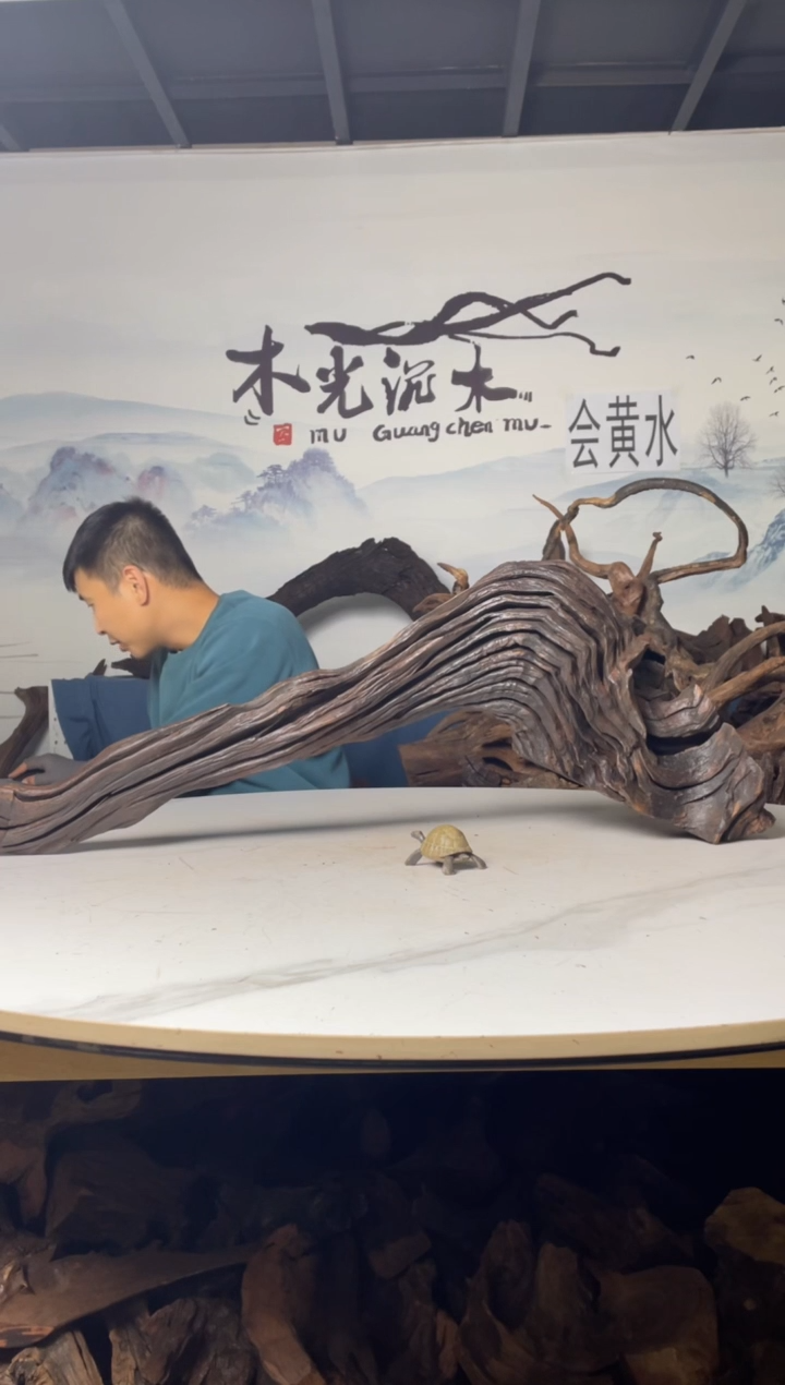 木光沉木木光沉木538
