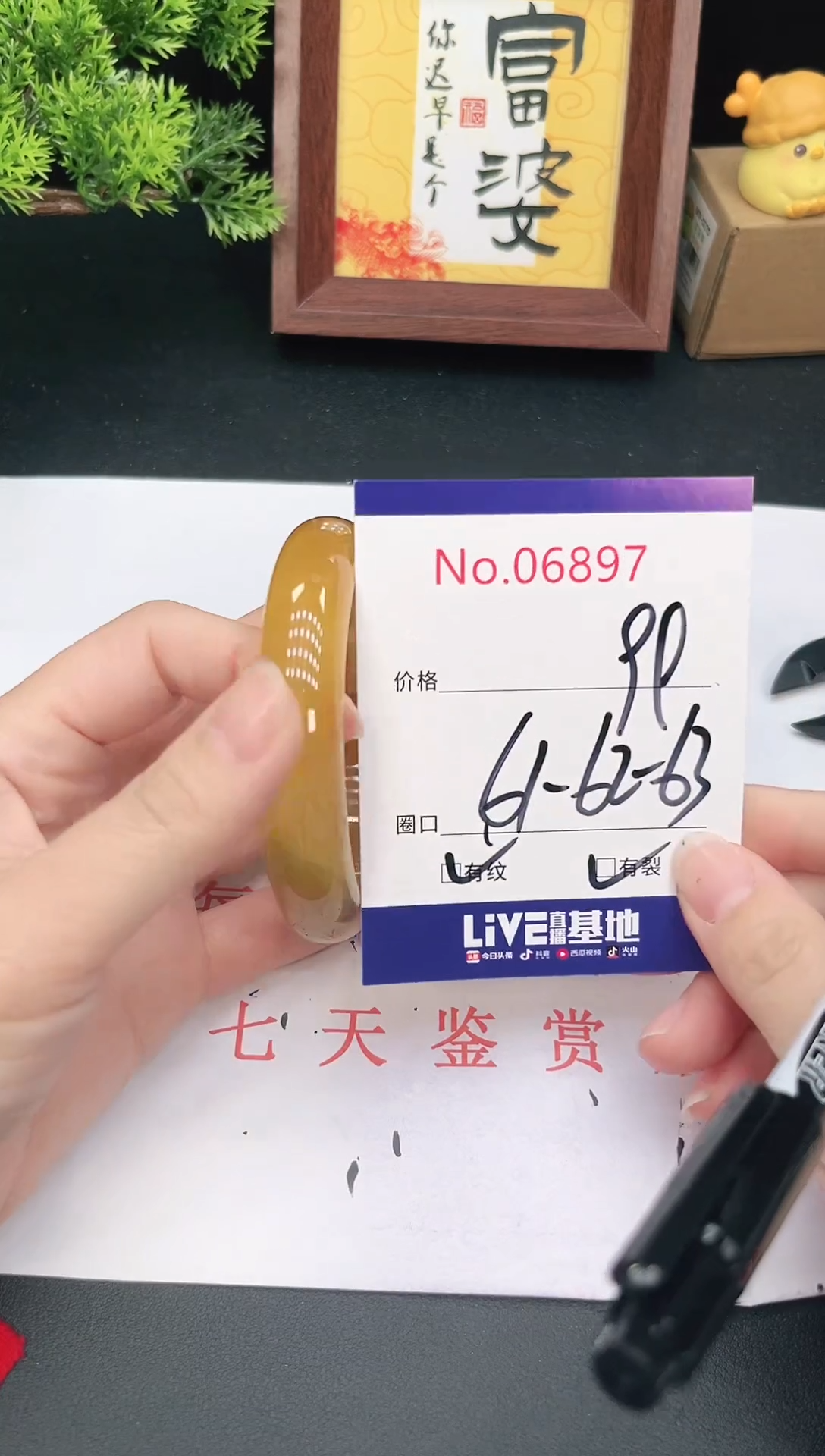 未镶嵌手镯翡翠6897