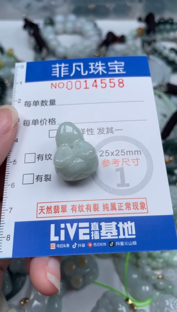 颈饰未镶嵌翡翠14558