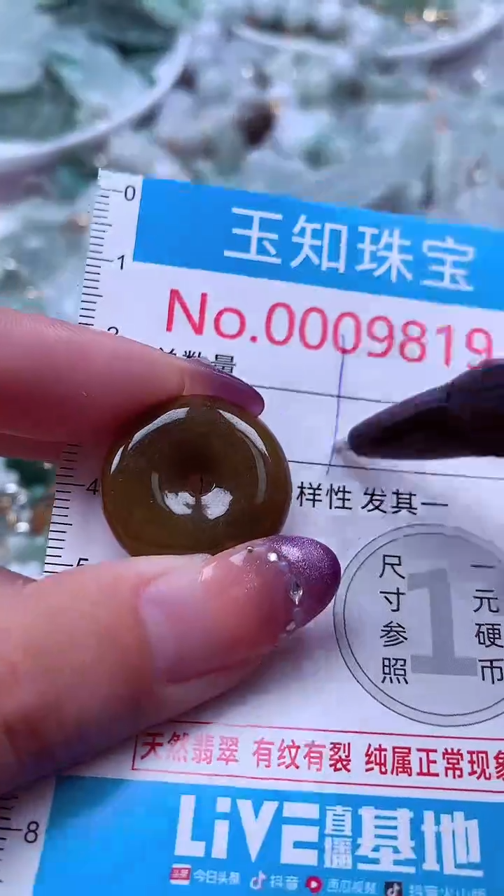 翡翠未镶嵌吊坠(不含链)9819