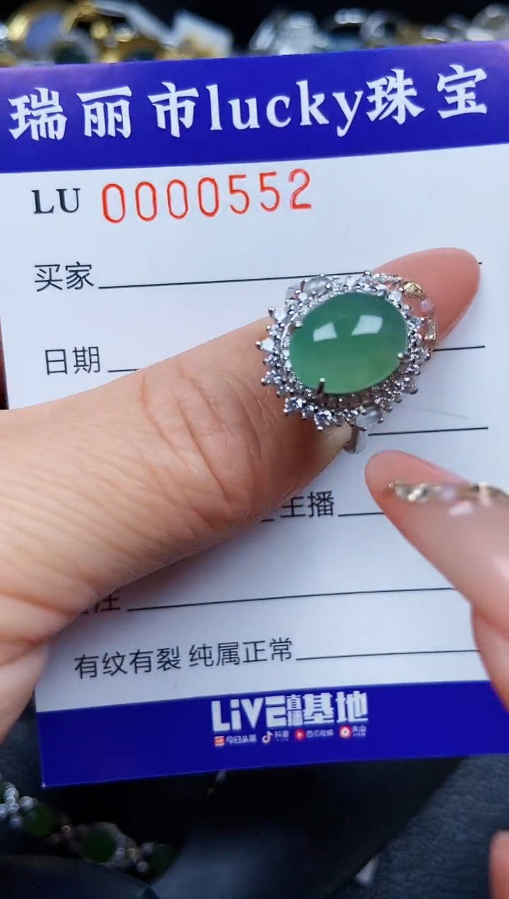 翡翠银S925镶嵌颈饰0552