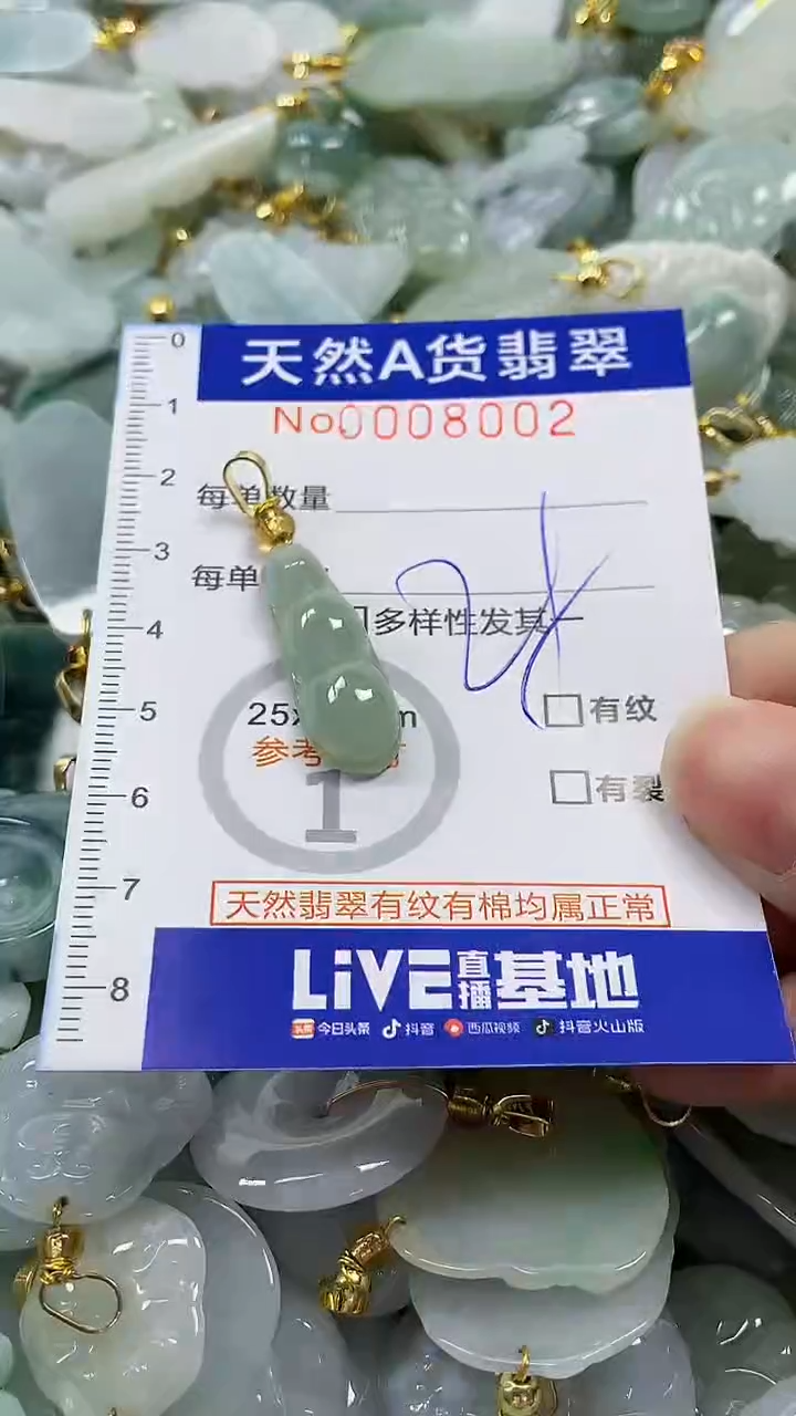 颈饰未镶嵌翡翠纯天然a货翡翠