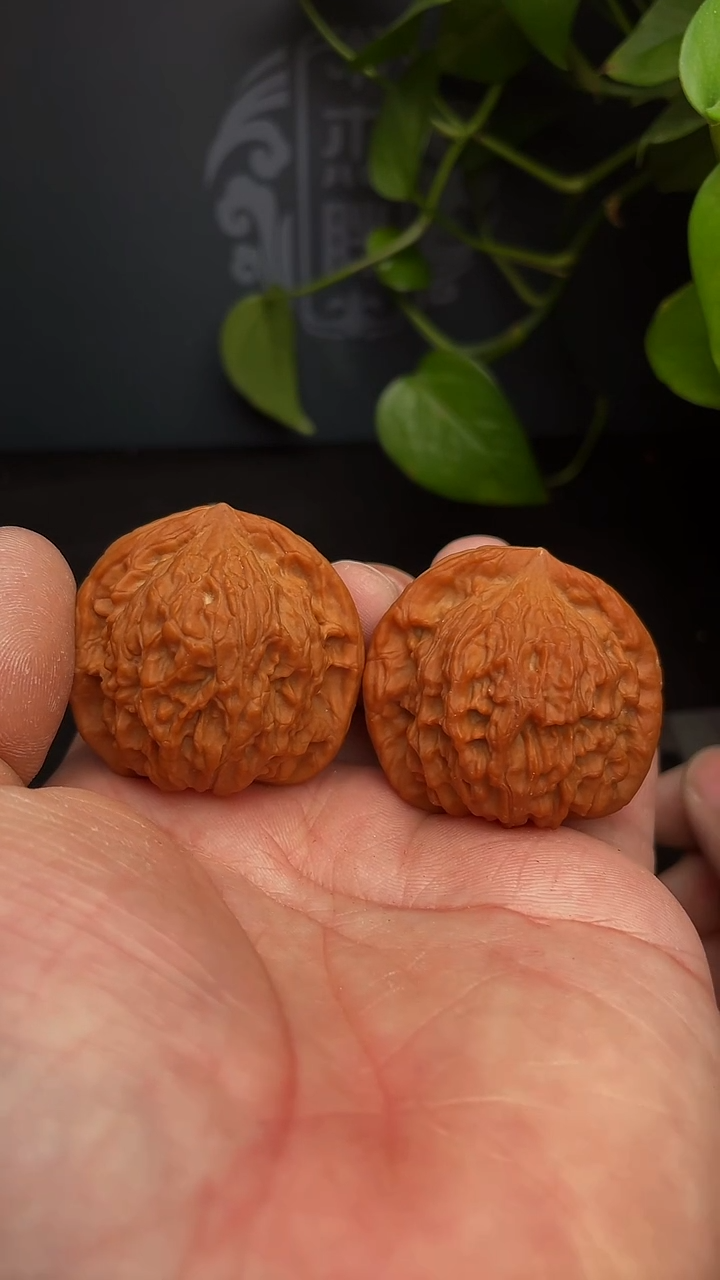 【闪购商品】文玩核桃把件红狮子41尺（全品，福利团）