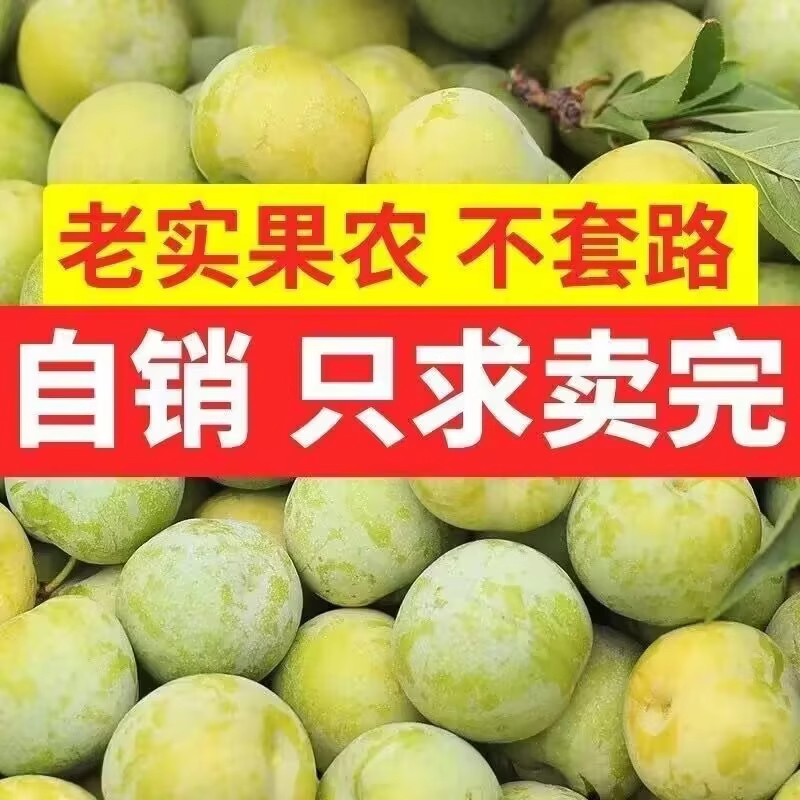 正宗四川贵州青脆脱骨李新鲜应季水果脆甜多汁