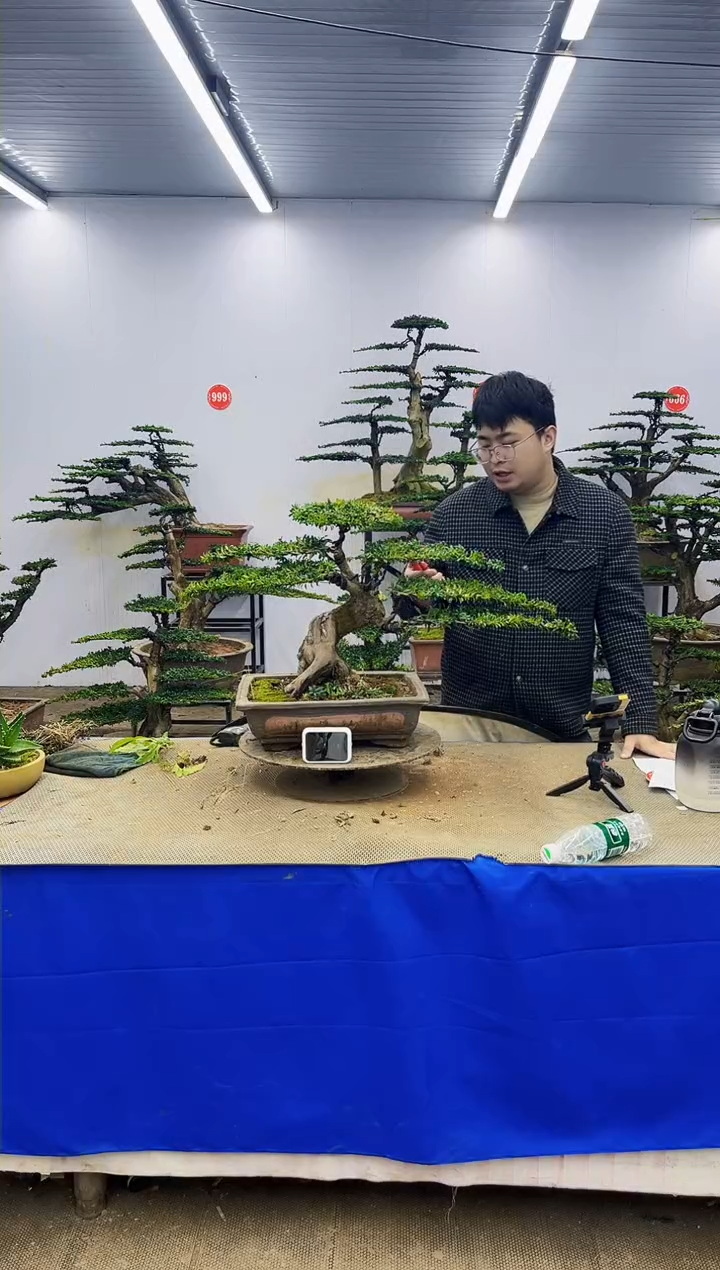 完全开放一物一拍，所见即所得