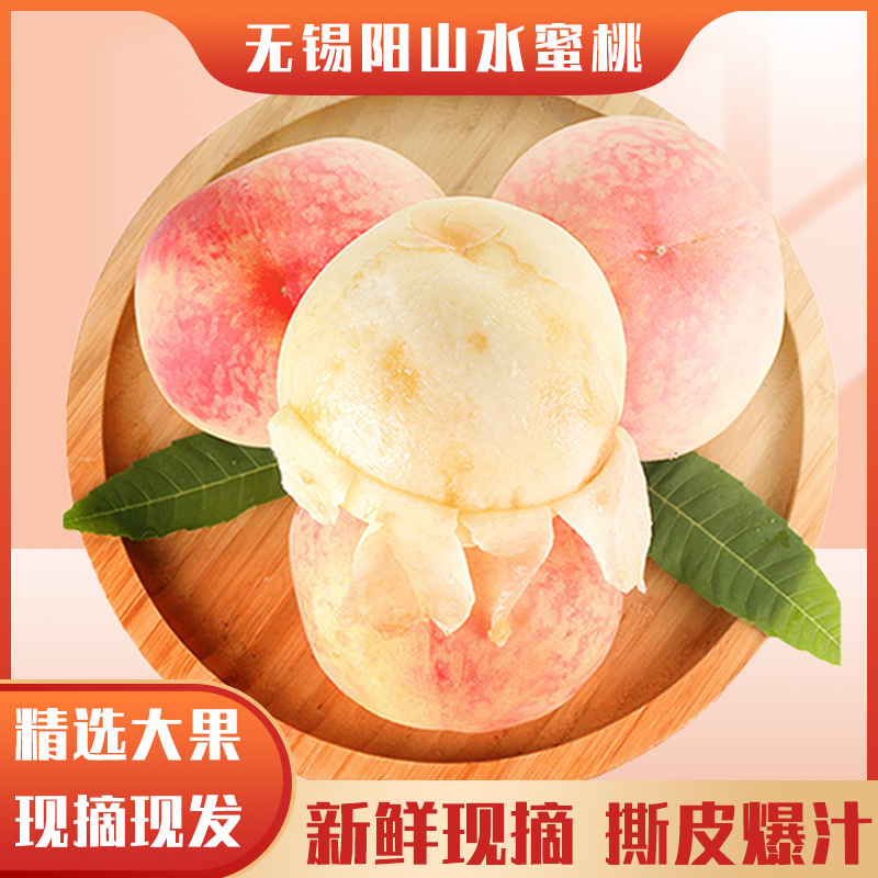 【顺丰送上门】4-5两 正宗无锡阳山水蜜桃当季新鲜水果当季新鲜水果桃子桃子同城送江苏省