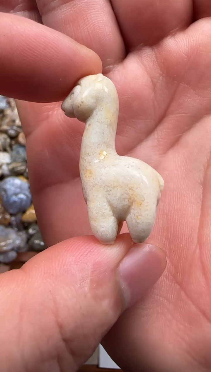 【闪购商品】硅化珊瑚（珊瑚玉）颈饰未镶嵌159