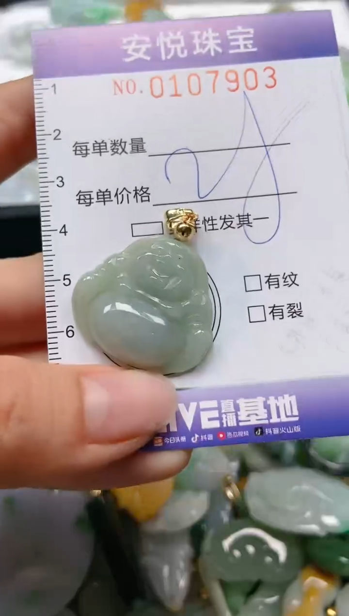 【闪购商品】翡翠颈饰未镶嵌闪购0107903