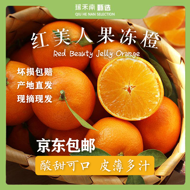 【象山红美人】有机方式种植红美人果冻橙香甜可口皮薄爆汁产地直发