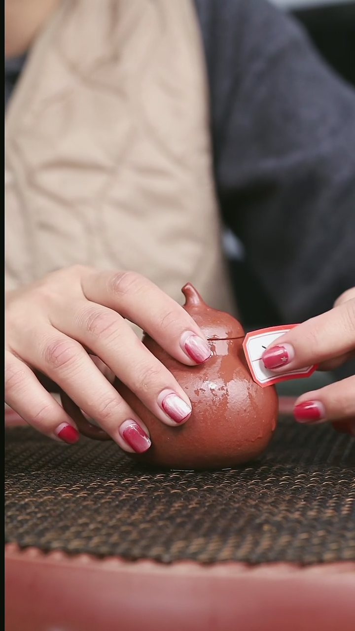 【闪购商品】紫砂红降坡38号茄瓜150CC