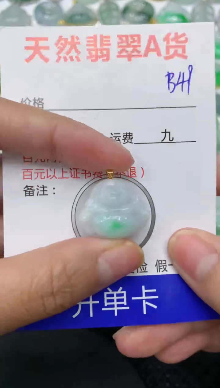 【闪购商品】翡翠颈饰18K金镶嵌111111111