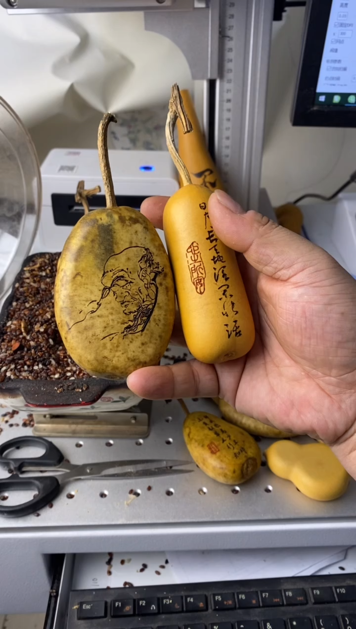 七***°葫芦葫芦葫芦葫芦