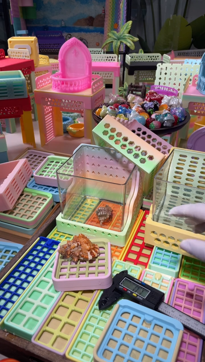 被****了陌派帝国寄居蟹220