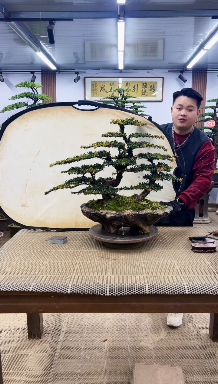 【闪购商品】000000000