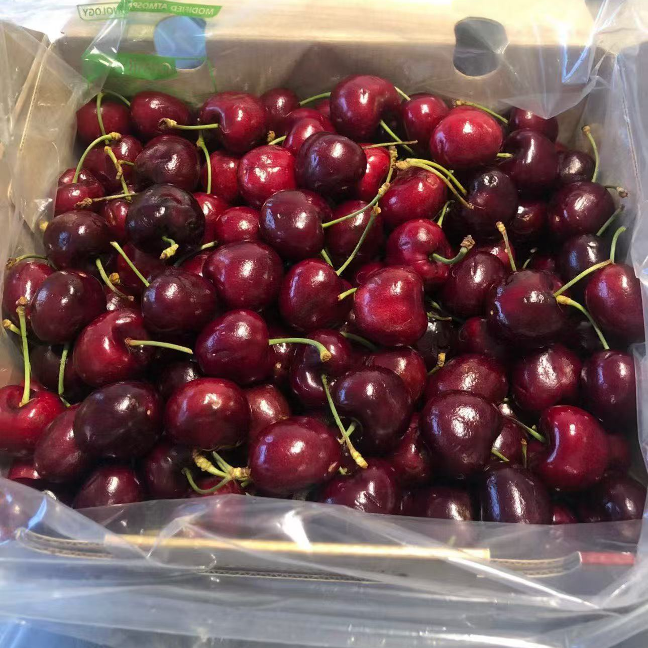 空运车厘子，3J净重5斤改价链接桑提娜智利