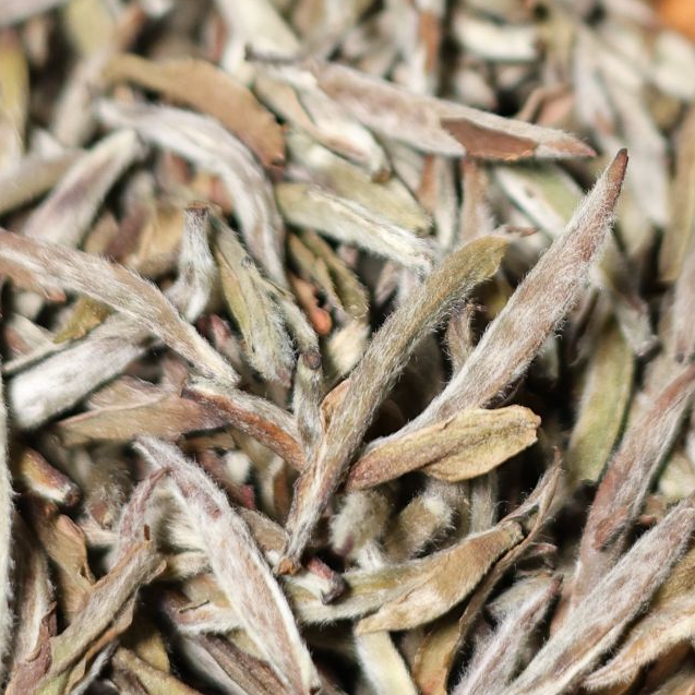 【茶米铺】2015年太姥山特级白毫银针陈年白茶茶叶50克尊享品鉴装